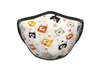 CAT SURPRISE FACE MASK KIT